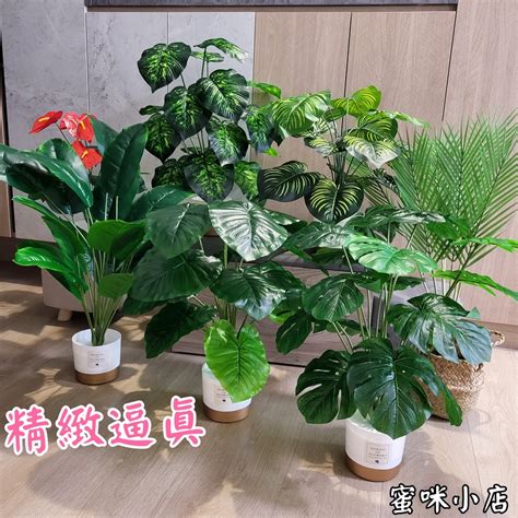 室內假植物